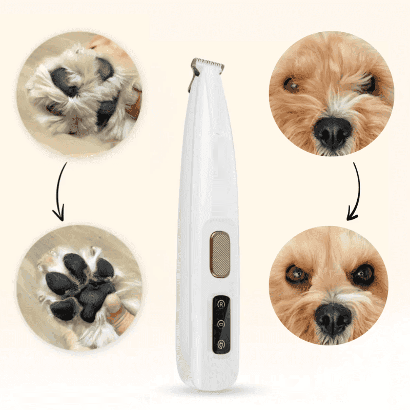 Aparador Elétrico Premium para Cães