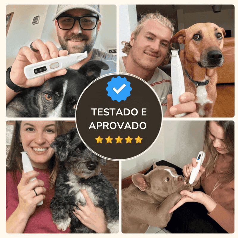 Aparador Elétrico Premium para Cães