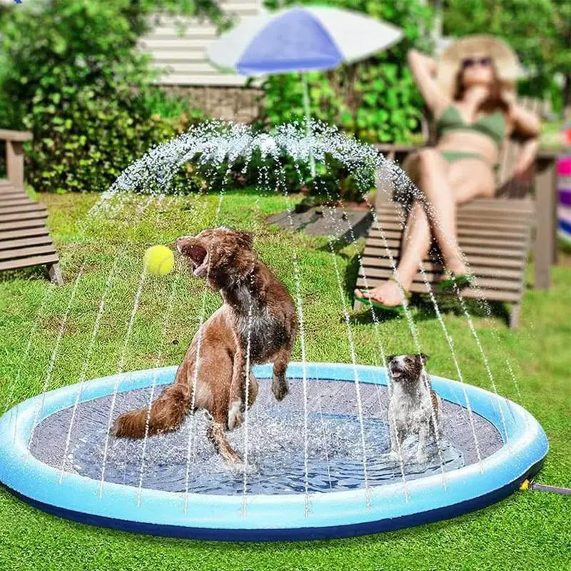 Piscina Interativa para Pet