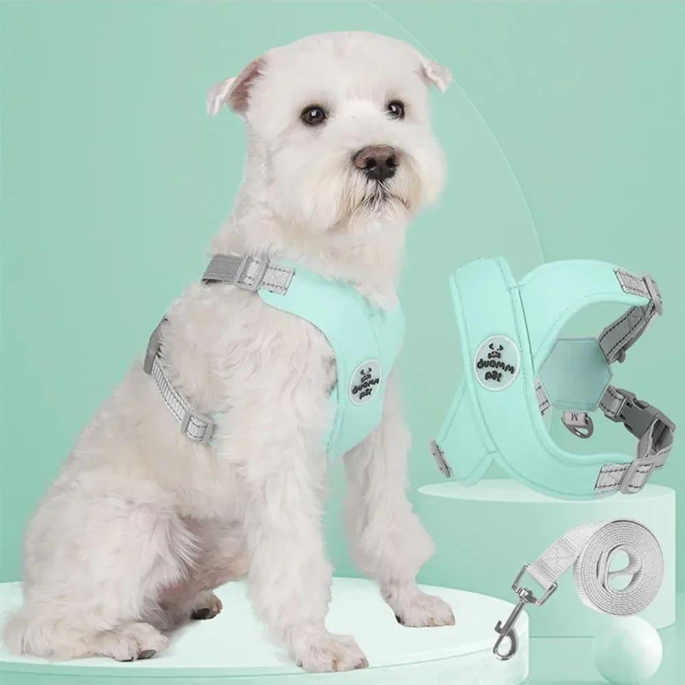 Kit Coleira Peitoral com Guia para Animais de Estimação - Pulinhos