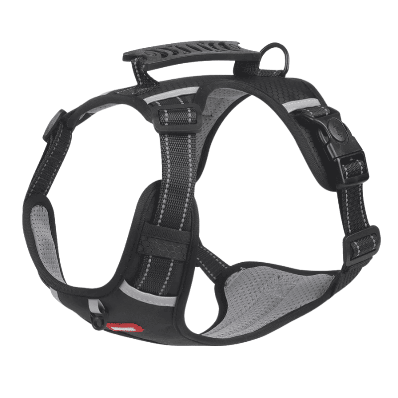 Peitoral Refletivo para Cães - Design à Prova de Explosão + Guia de Brinde