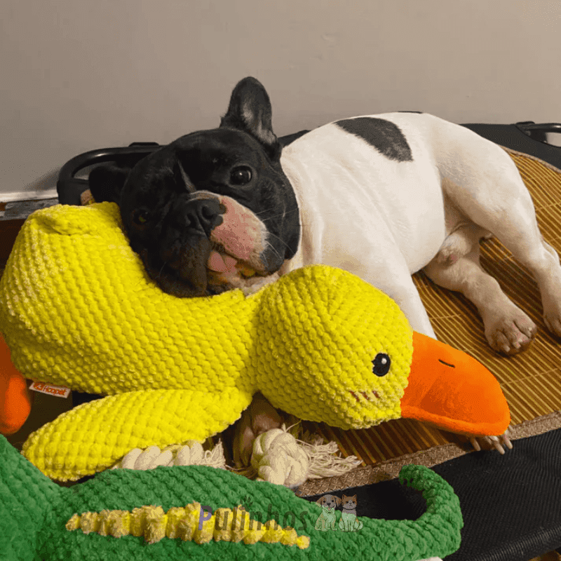 Brinquedo Interativo - Calming Duck - Pulinhos