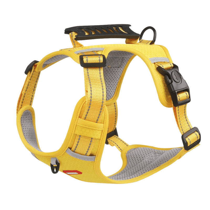 Peitoral Refletivo para Cães - Design à Prova de Explosão + Guia de Brinde
