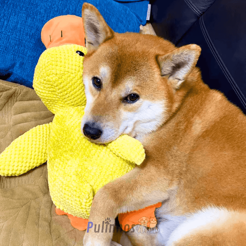 Brinquedo Interativo - Calming Duck - Pulinhos