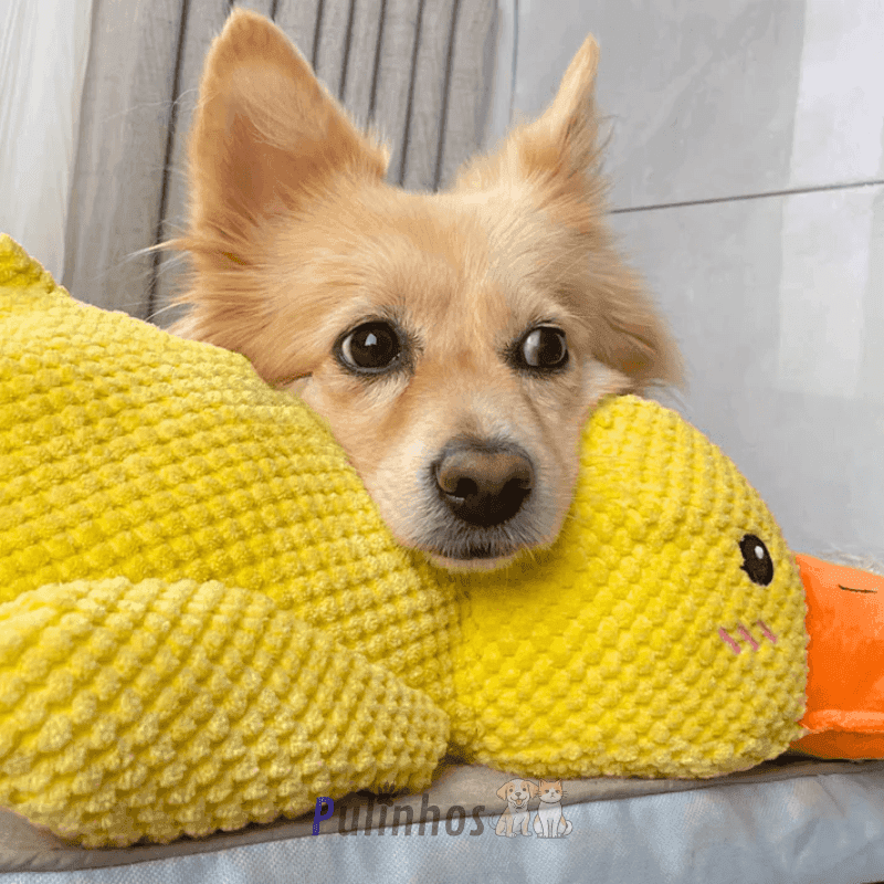 Brinquedo Interativo - Calming Duck - Pulinhos