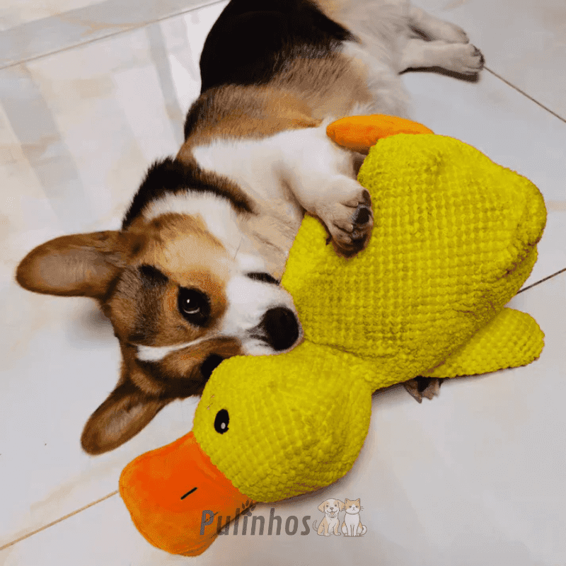Brinquedo Interativo - Calming Duck - Pulinhos