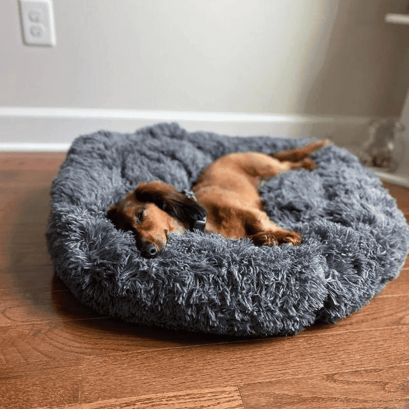 Cama Aconchegante Donuts - Pulinhos