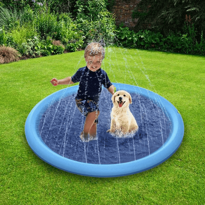 Piscina Interativa para Pet