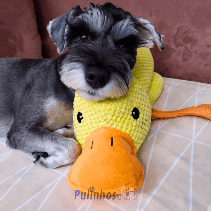 Brinquedo Interativo - Calming Duck - Pulinhos