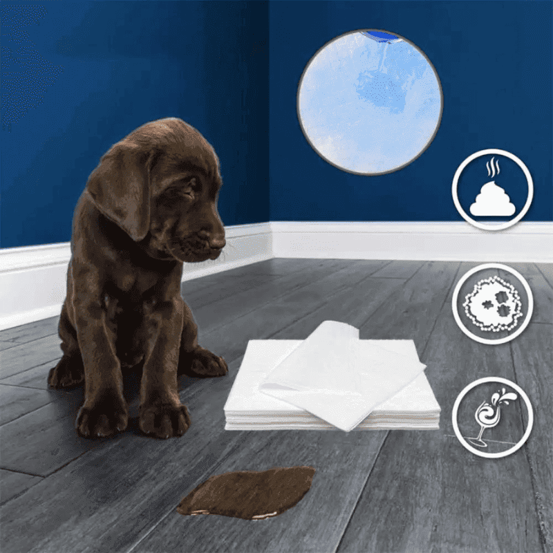Papel Toalha Super Absorvente de Xixi - Pet Pee