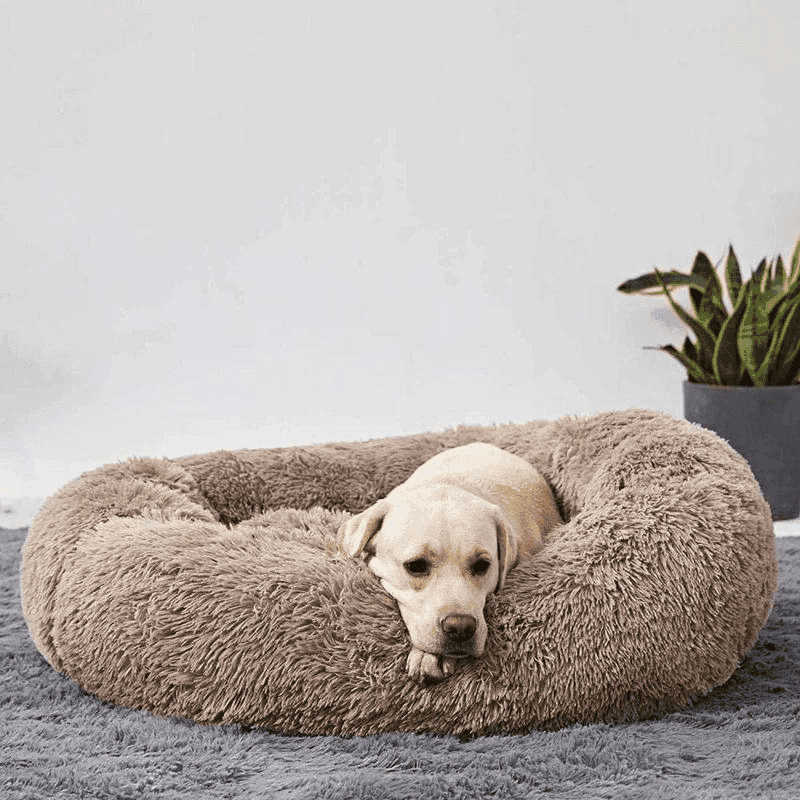 Cama Aconchegante Donuts - Pulinhos