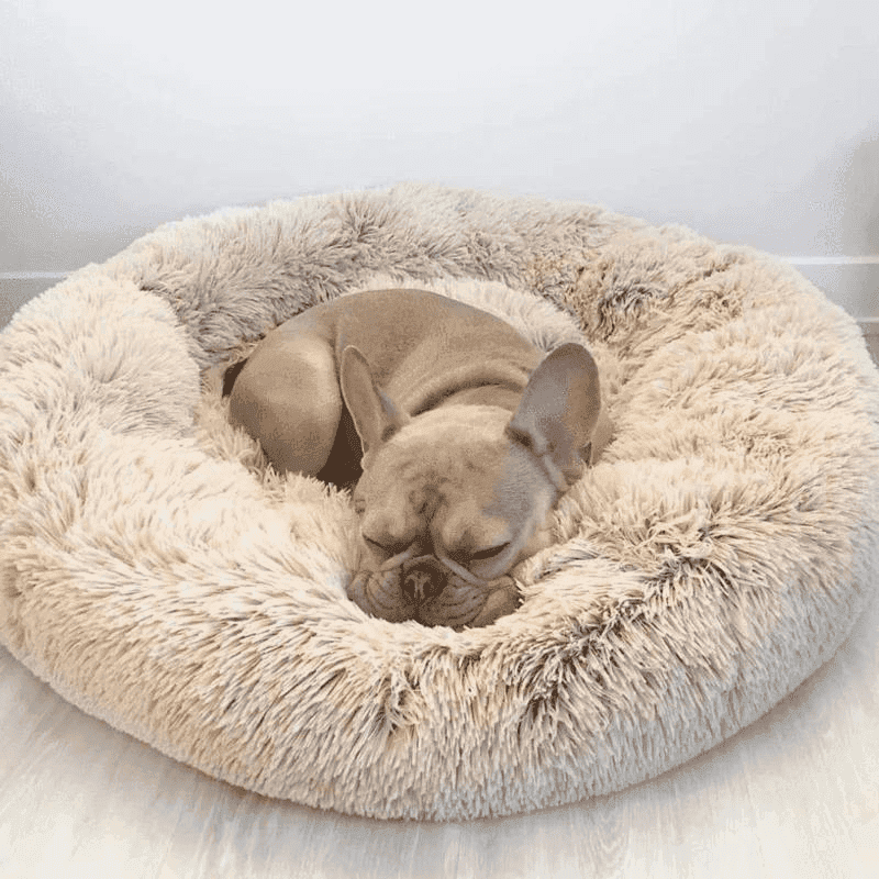 Cama Aconchegante Donuts - Pulinhos