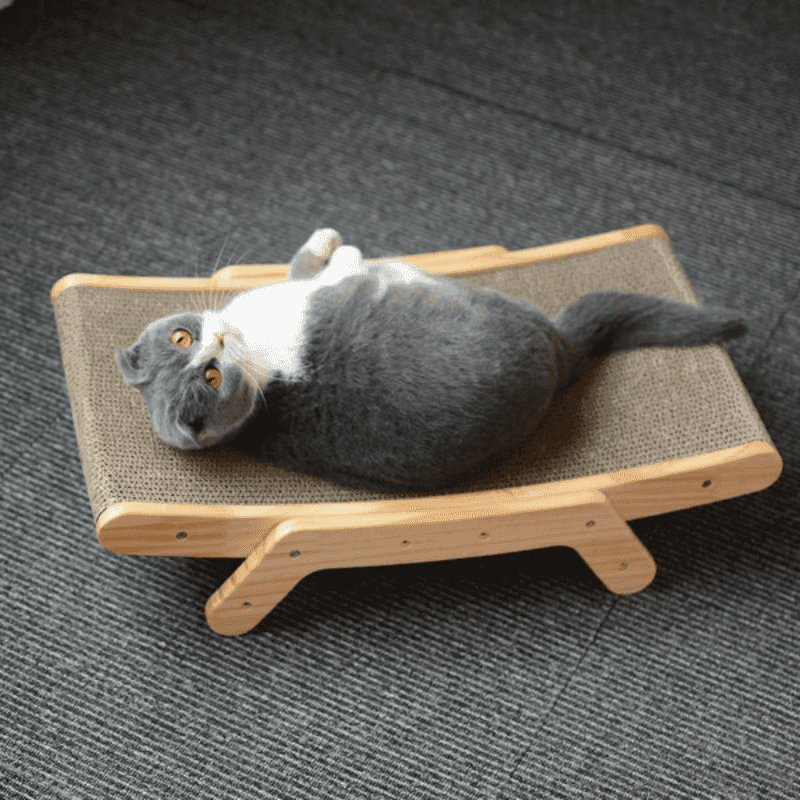 Arranhador Frame para Gatos - Pulinhos