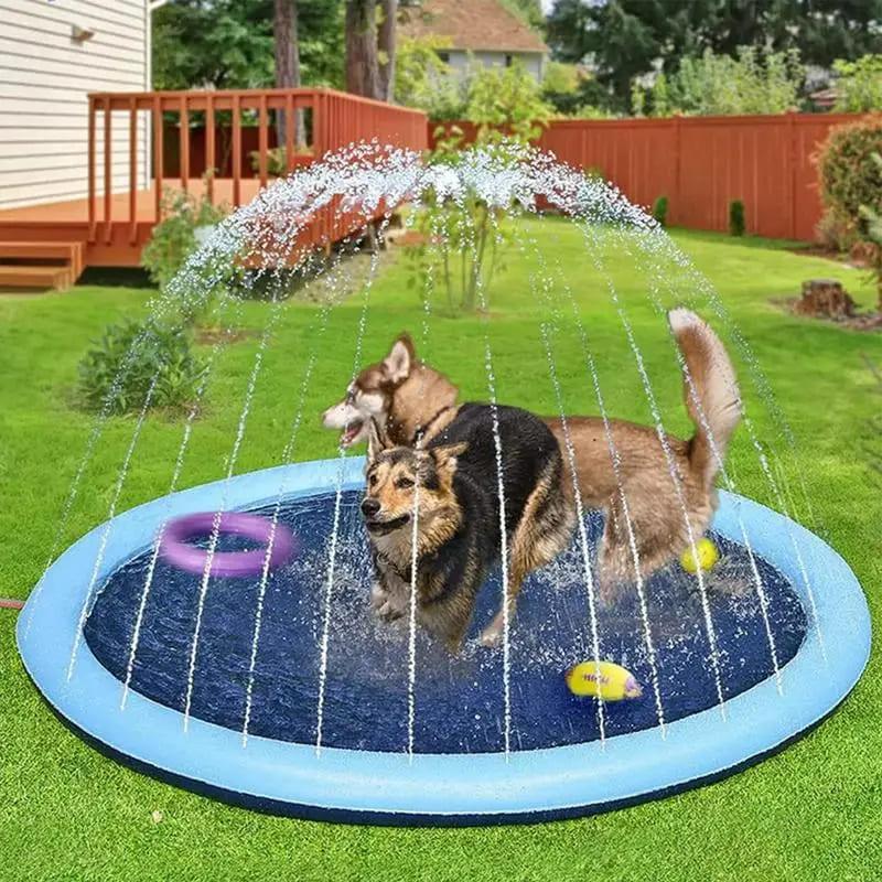 Piscina Interativa para Pet