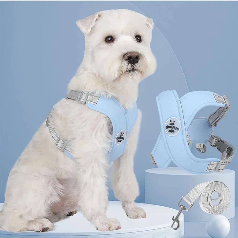 Kit Coleira Peitoral com Guia para Animais de Estimação - Pulinhos