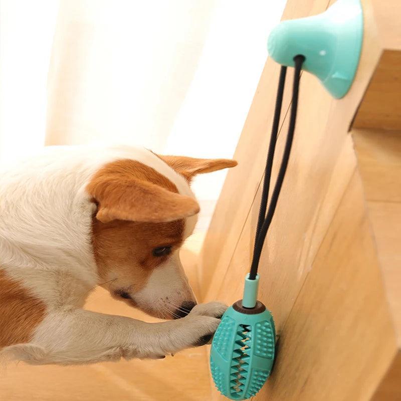Cabo de Guerra Interativo para Cães - Pulinhos