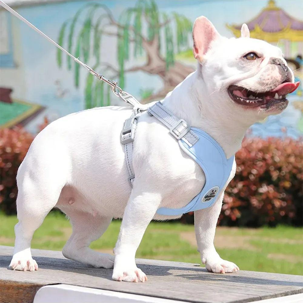 Kit Coleira Peitoral com Guia para Animais de Estimação - Pulinhos