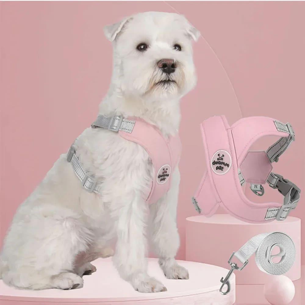 Kit Coleira Peitoral com Guia para Animais de Estimação - Pulinhos