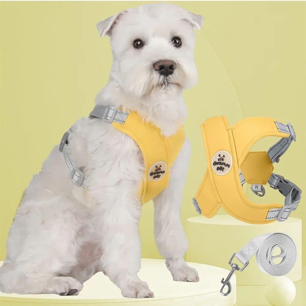 Kit Coleira Peitoral com Guia para Animais de Estimação - Pulinhos