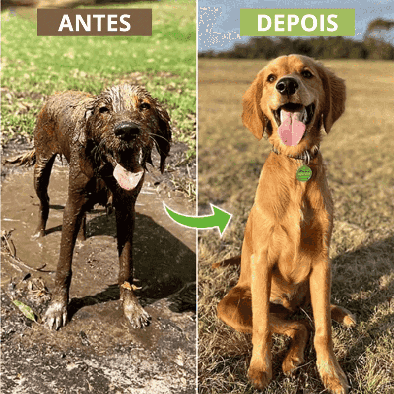 Acessório para Lavar Cães - Pup Jet