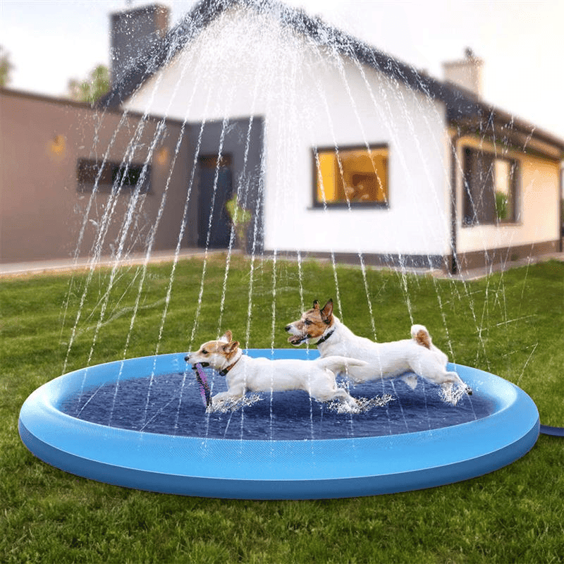 Piscina Interativa para Pet