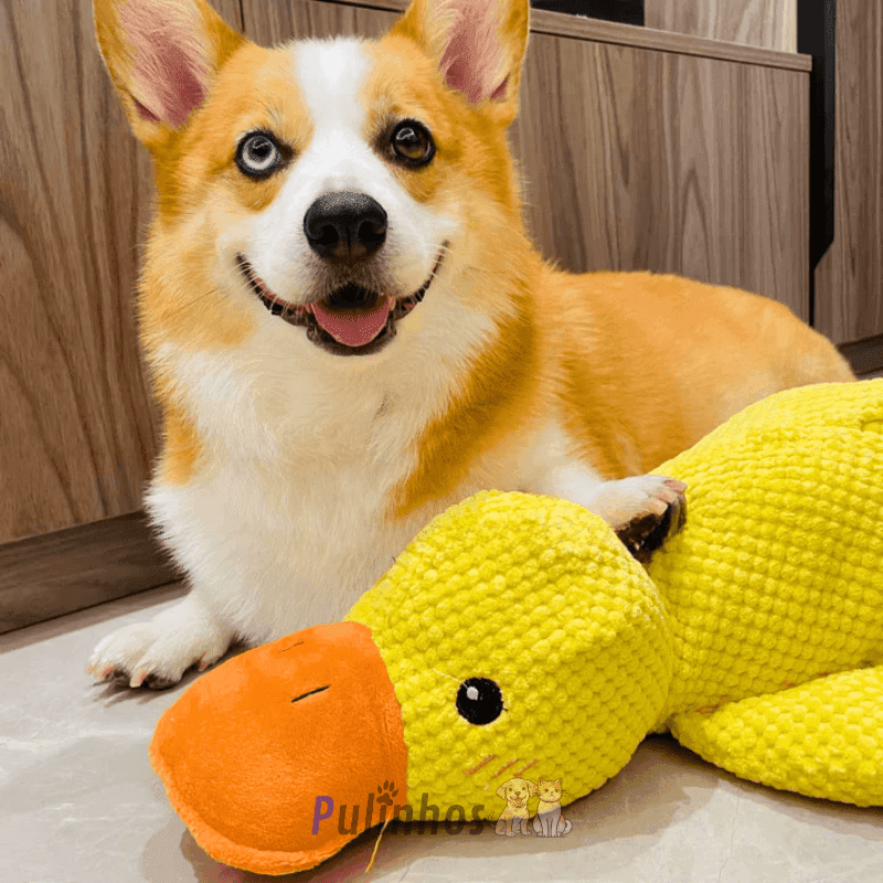 Brinquedo Interativo - Calming Duck - Pulinhos
