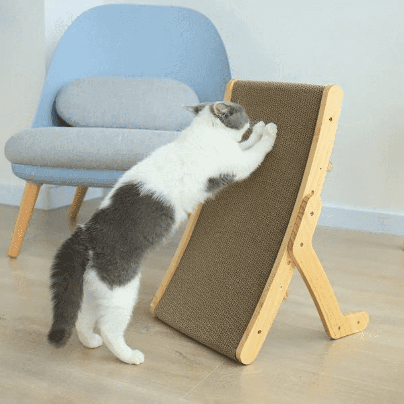 Arranhador Frame para Gatos - Pulinhos