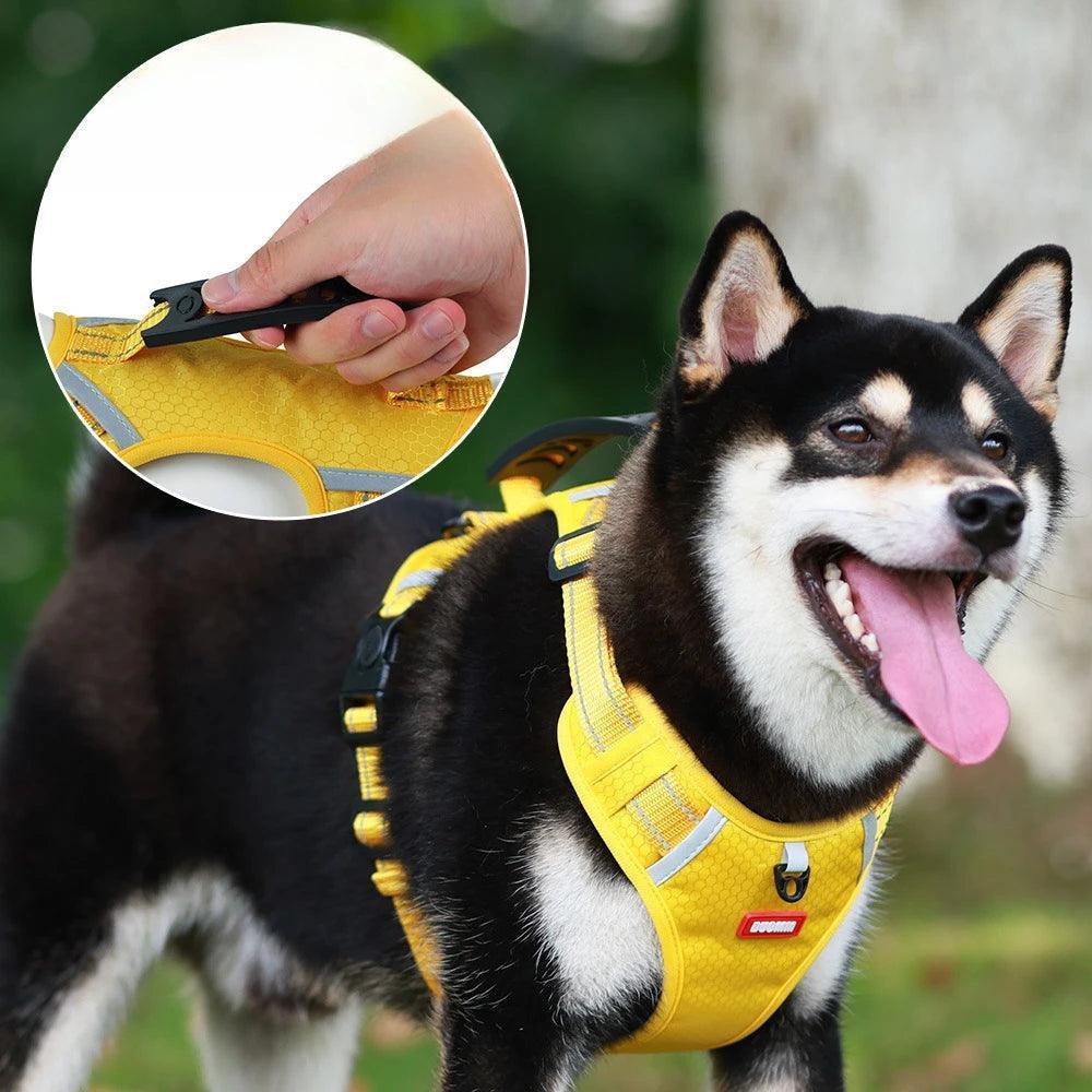 Peitoral Refletivo para Cães - Design à Prova de Explosão + Guia de Brinde