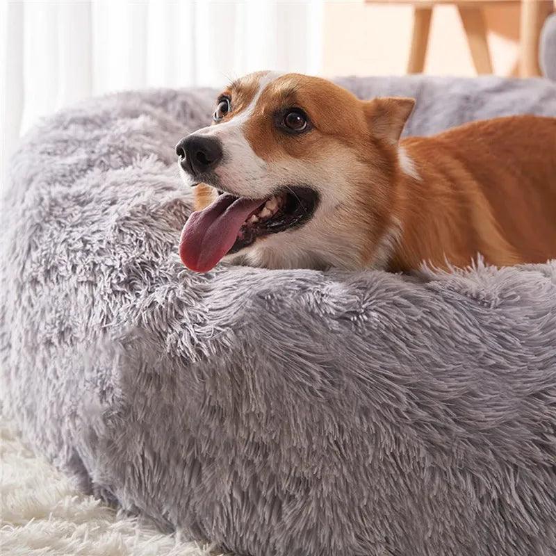 Cama Aconchegante Donuts - Pulinhos